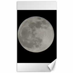 Close To The Full Moon Canvas 40  X 72   by picsaspassion