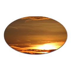 Summer Sunset Oval Magnet by picsaspassion