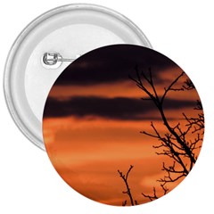 Tree Branches And Sunset 3  Buttons by picsaspassion