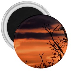 Tree Branches And Sunset 3  Magnets by picsaspassion