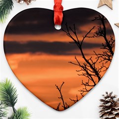 Tree Branches And Sunset Ornament (heart)  by picsaspassion