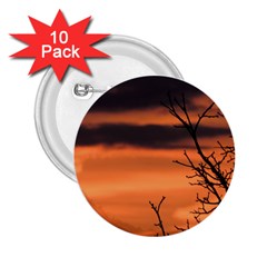 Tree Branches And Sunset 2 25  Buttons (10 Pack)  by picsaspassion