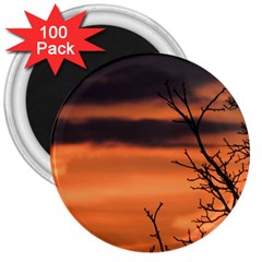 Tree Branches And Sunset 3  Magnets (100 Pack) by picsaspassion