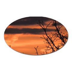 Tree Branches And Sunset Oval Magnet by picsaspassion