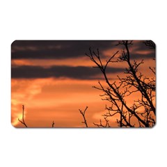 Tree Branches And Sunset Magnet (rectangular) by picsaspassion