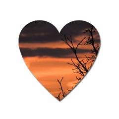 Tree Branches And Sunset Heart Magnet by picsaspassion