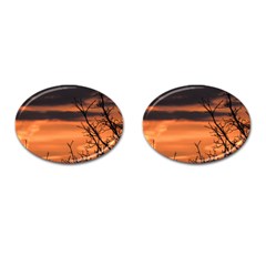 Tree Branches And Sunset Cufflinks (oval) by picsaspassion