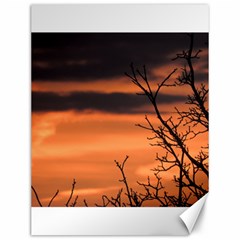 Tree Branches And Sunset Canvas 12  X 16   by picsaspassion