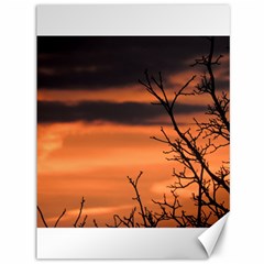 Tree Branches And Sunset Canvas 36  X 48   by picsaspassion