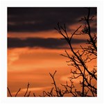 Tree branches and sunset Medium Glasses Cloth Front