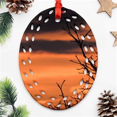 Tree Branches And Sunset Ornament (oval Filigree)  by picsaspassion