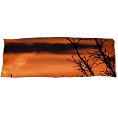 Tree Branches And Sunset Body Pillow Case (dakimakura) by picsaspassion