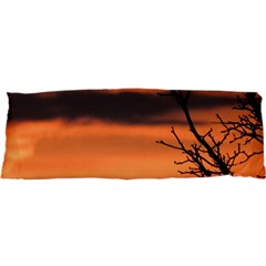 Tree Branches And Sunset Samsung S3350 Hardshell Case by picsaspassion