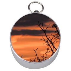 Tree Branches And Sunset Silver Compasses