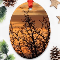 Colorful Sunset Ornament (oval)  by picsaspassion