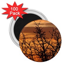 Colorful Sunset 2 25  Magnets (100 Pack)  by picsaspassion