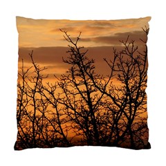 Colorful Sunset Standard Cushion Case (two Sides) by picsaspassion