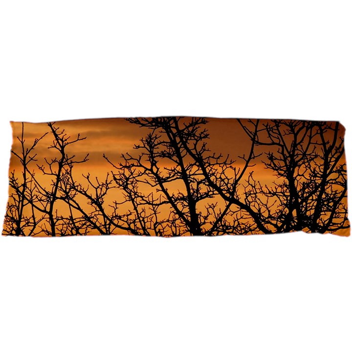 Colorful Sunset Samsung Galaxy Nexus S i9020 Hardshell Case