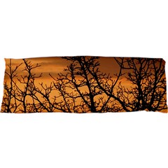 Colorful Sunset Samsung S3350 Hardshell Case