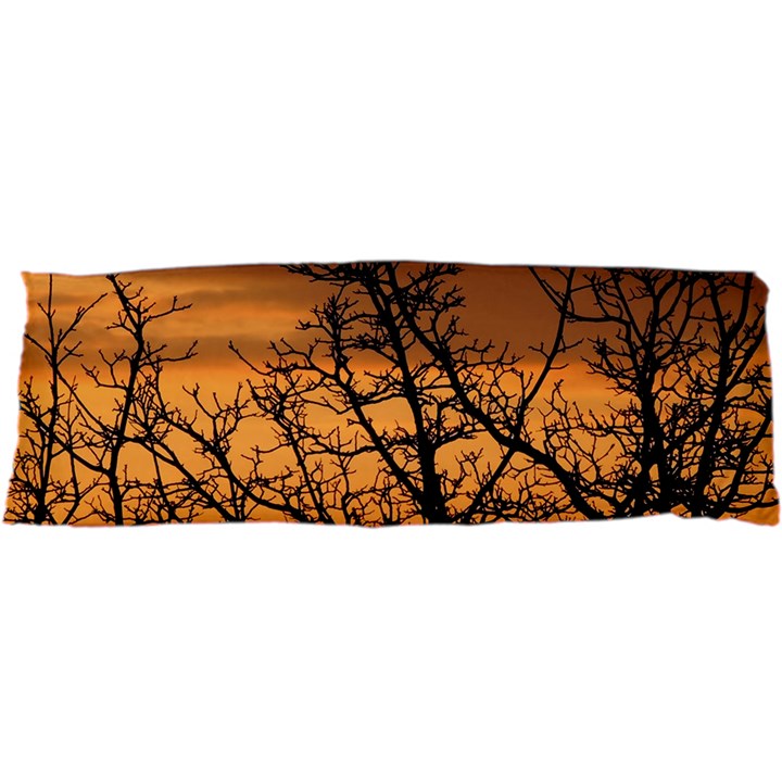 Colorful Sunset Samsung S3350 Hardshell Case