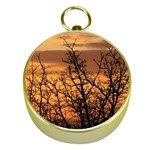 Colorful Sunset Gold Compasses Front