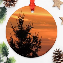 Christmas Tree And Sunset Round Ornament (two Sides)  by picsaspassion