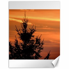 Christmas Tree And Sunset Canvas 12  X 16  