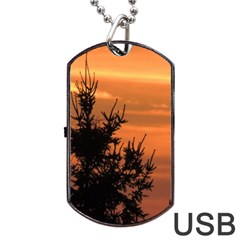 Christmas Tree And Sunset Dog Tag Usb Flash (two Sides)  by picsaspassion