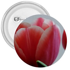 Red - White Tulip Flower 3  Buttons by picsaspassion