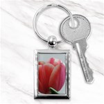 Red - White Tulip flower Key Chains (Rectangle)  Front