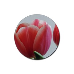 Red - White Tulip Flower Rubber Round Coaster (4 Pack)  by picsaspassion