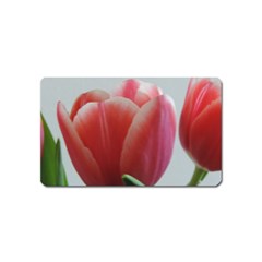 Red - White Tulip Flower Magnet (name Card) by picsaspassion