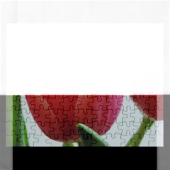 Red - White Tulip Flower Rectangular Jigsaw Puzzl by picsaspassion