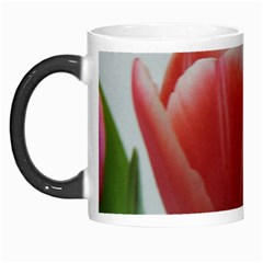 Red - White Tulip Flower Morph Mugs by picsaspassion