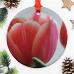 Red - White Tulip flower Round Ornament (Two Sides)  Front