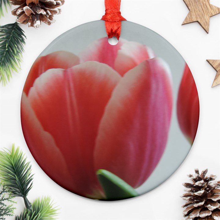 Red - White Tulip flower Round Ornament (Two Sides) 