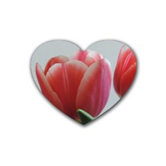 Red - White Tulip Flower Rubber Coaster (heart)  by picsaspassion