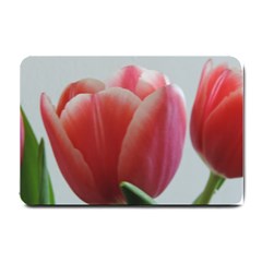 Red - White Tulip Flower Small Doormat  by picsaspassion