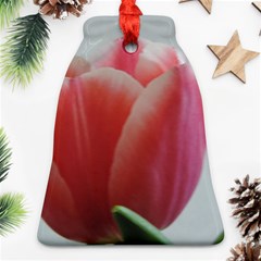 Red - White Tulip Flower Bell Ornament (2 Sides)