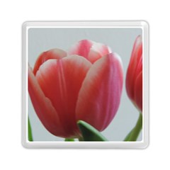 Red - White Tulip Flower Memory Card Reader (square)  by picsaspassion