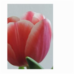 Red - White Tulip Flower Large Garden Flag (two Sides)