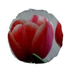 Red - White Tulip Flower Standard 15  Premium Flano Round Cushions