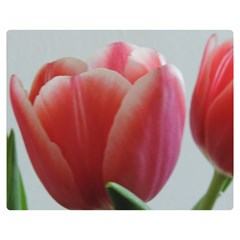 Red - White Tulip Flower Double Sided Flano Blanket (medium) 