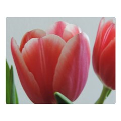 Red - White Tulip Flower Double Sided Flano Blanket (large) 