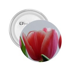 Red Tulips 2 25  Buttons by picsaspassion