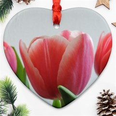 Red Tulips Ornament (heart)  by picsaspassion