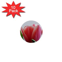 Red Tulips 1  Mini Buttons (10 Pack)  by picsaspassion