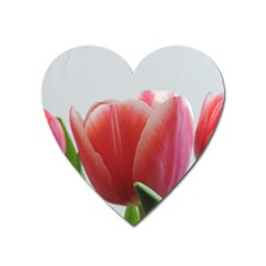 Red Tulips Heart Magnet by picsaspassion