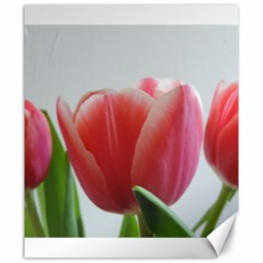 Red Tulips Canvas 20  X 24  