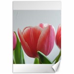 Red Tulips Canvas 24  x 36  23.35 x34.74  Canvas - 1